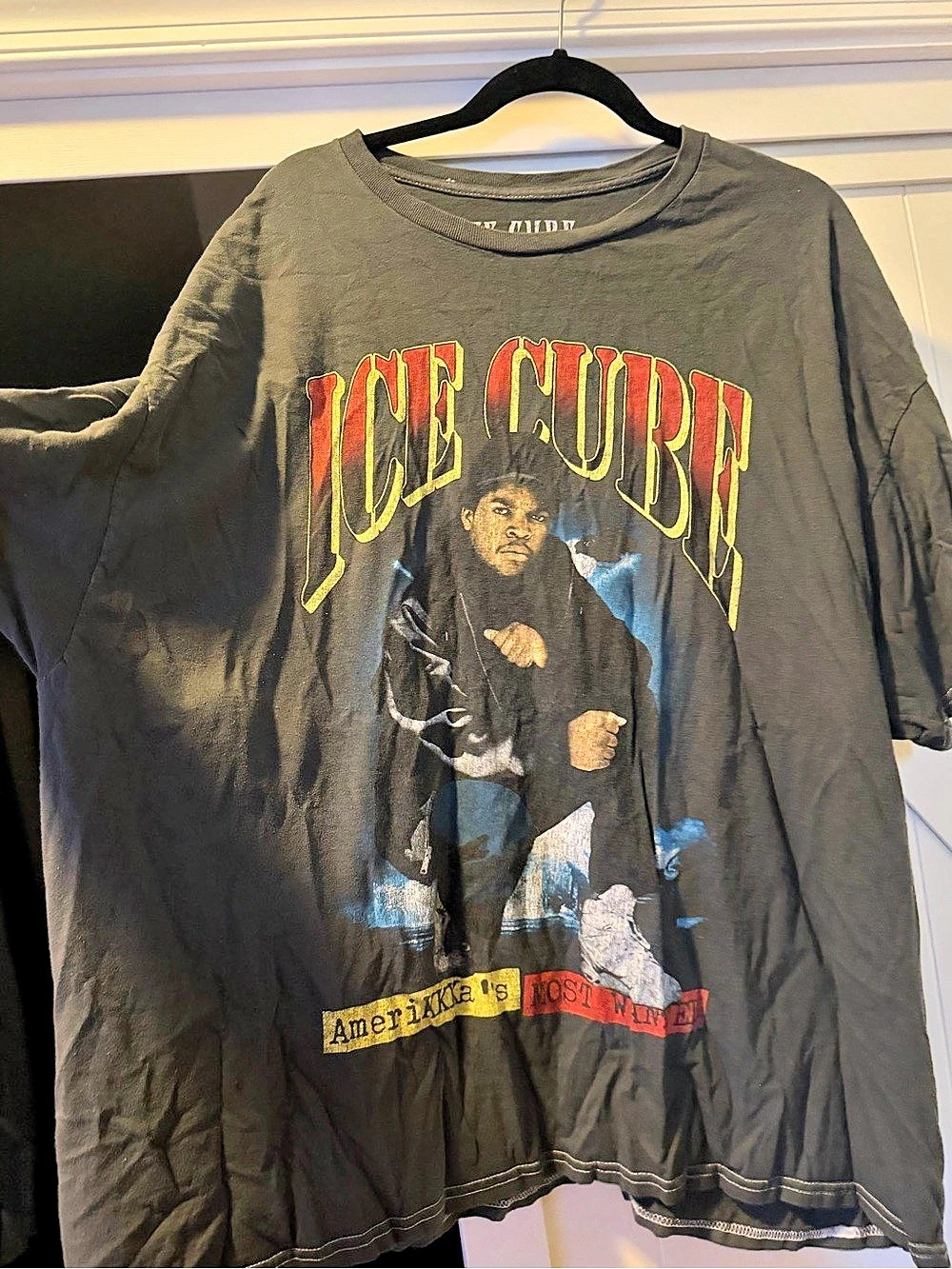 Ice cube graphic tee Gray 2X